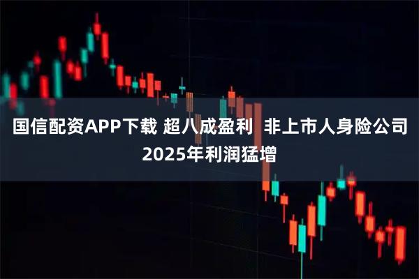 国信配资APP下载 超八成盈利  非上市人身险公司2025年利润猛增