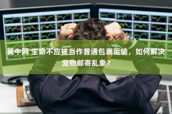 翼牛网 生命不应被当作普通包裹运输，如何解决宠物邮寄乱象？