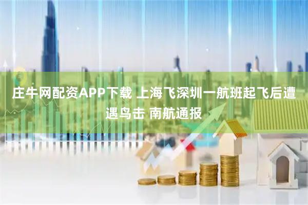 庄牛网配资APP下载 上海飞深圳一航班起飞后遭遇鸟击 南航通报
